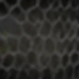 Close-up of aviary netting material showcasing its durability