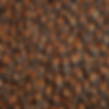 Close-up view of bantam chick feathers demonstrating unique patterns