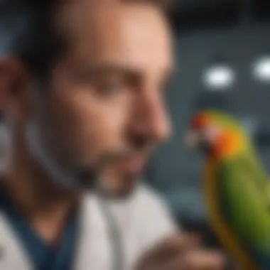 Veterinarian with Parrot Avian veterinarian examining a parrot in a clinical setting