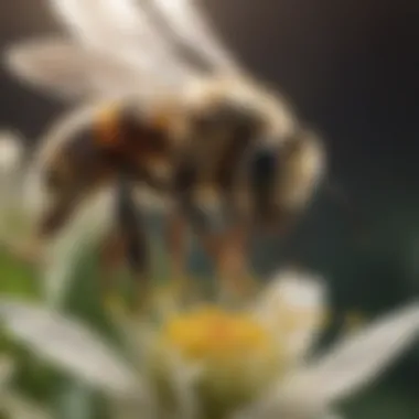 Bee collecting nectar from a delicate flower