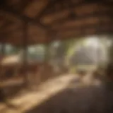 Spacious and organized chicken coop design