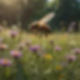A vibrant meadow filled with flowering plants that attract bees.
