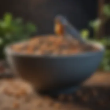 Crafted Mixture for Avian Delight Homemade bird food mix in a bowl