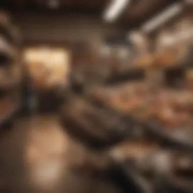 Pet owner selecting food for ducks in a store