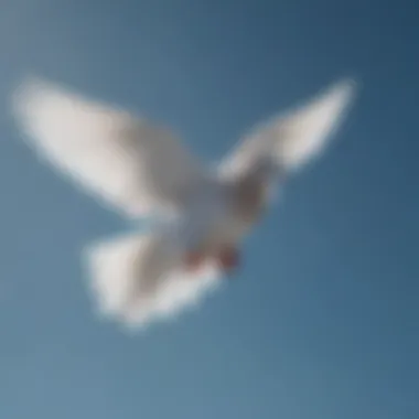 A serene dove in flight against a clear blue sky.