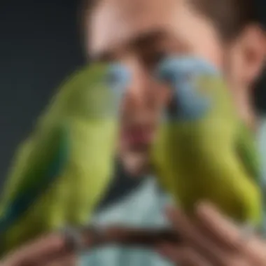 Bonding with Your Parakeet A person thoughtfully interacting with their pet parakeet, highlighting the bond between them