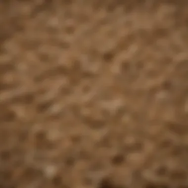 Close-up of goat feed highlighting nutrient-rich ingredients.