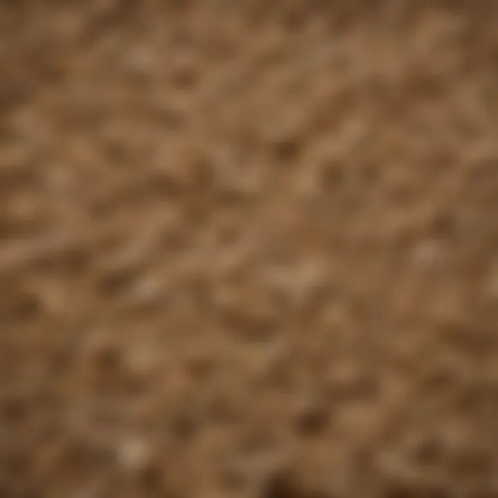 Close-up of goat feed highlighting nutrient-rich ingredients.