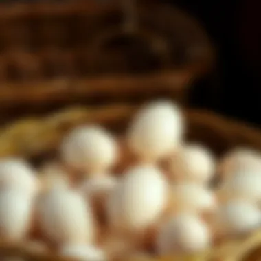 Freshly collected eggs in a basket