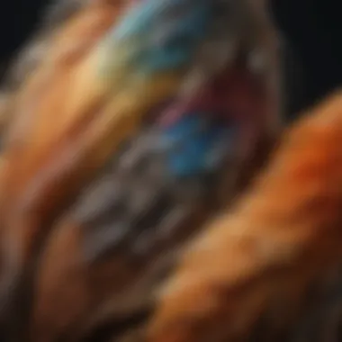 Close-up of Bantam Chicken Feathers Close-up of bantam chicken feathers showcasing their textures and colors