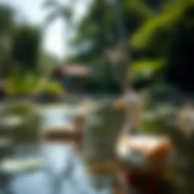 A serene duck pond with lush greenery