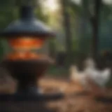 A variety of modern feeders designed for ducks and chickens