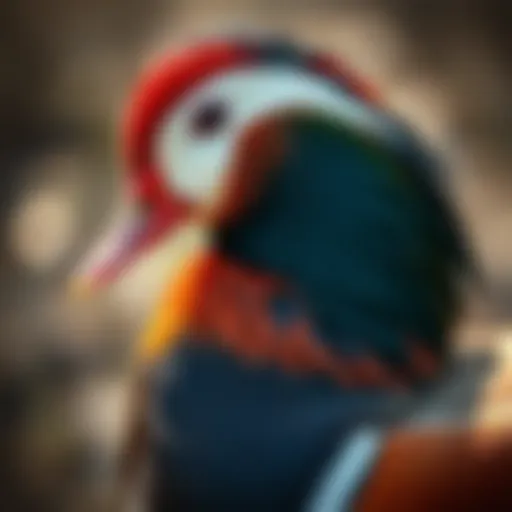 Peking Duck Profile Peking Duck showcasing its vibrant plumage and distinctive features