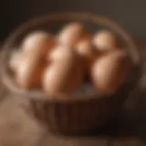 Freshly harvested eggs in a basket