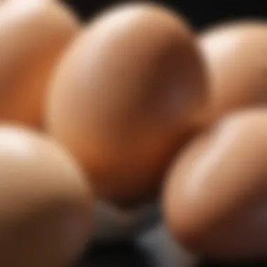 Close-up of Isabrown chicken eggs demonstrating their quality