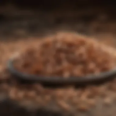 Nutritional Feeds for Mealworm Health Different types of feeds suitable for mealworms displayed attractively