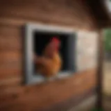 Automatic chicken coop door showcasing innovative design and functionality