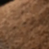 A close-up of high-quality scratch feed grains
