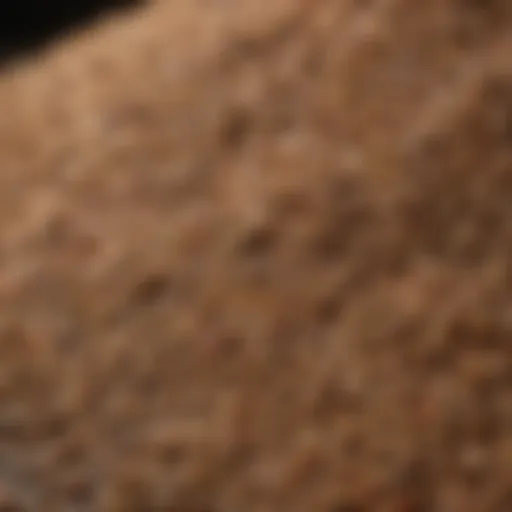 A close-up of high-quality scratch feed grains