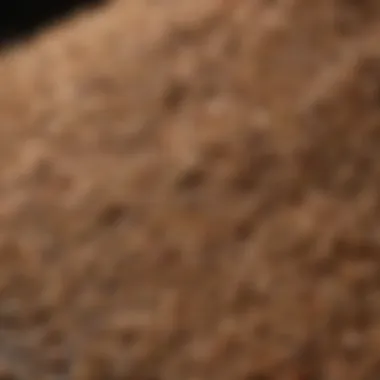 Nutritional Richness of Scratch Feed A close-up of high-quality scratch feed grains