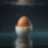 Illustration of an egg in water demonstrating buoyancy
