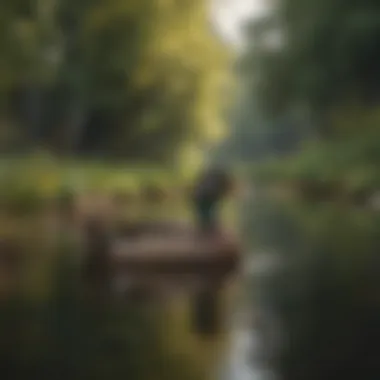 An overview of a tranquil property with ducks being kept at bay.