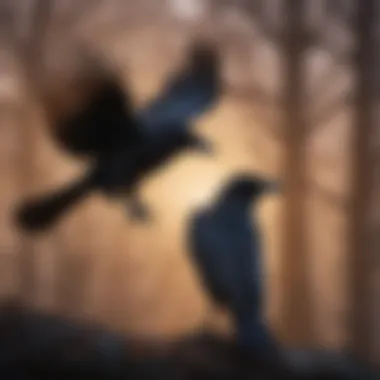 Silhouettes: Crows vs. Ravens Comparison of crow and raven silhouettes in flight