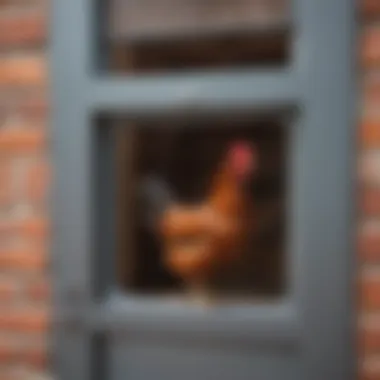 Diversity of Automatic Chicken Doors Available Various types of automatic chicken doors