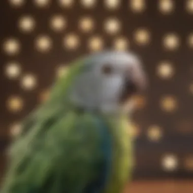 Quality Materials for Parakeet Safety Close-up of cage materials highlighting quality and durability for parakeet safety.