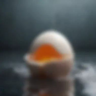 Close-up of a fresh egg submerged in water