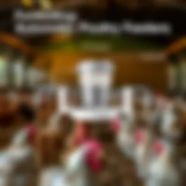 Functionality of Automatic Poultry Feeders Diagram illustrating the functionality of an automatic feeder system