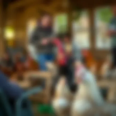 Community gathering of chicken enthusiasts