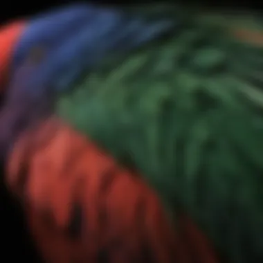 Elegant Eclectus Feather Detail Close-up of an eclectus parrot showcasing its unique feathers