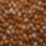 A diverse array of chicken breeds showcasing their unique feather patterns and colors.