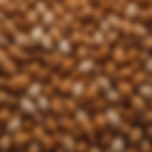 A diverse array of chicken breeds showcasing their unique feather patterns and colors.