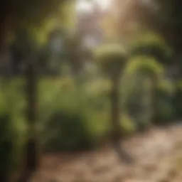 Stylish portable net fence in a garden setting