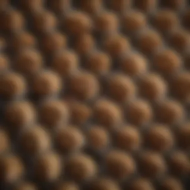 Selecting the Right Tiny Chicken Wire Close-up of different types of tiny chicken wire, highlighting selection options.