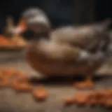 A variety of duck food including pellets, grains, and vegetables