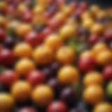 Colorful assortment of safe fruits for chickens