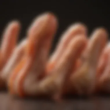 Examining Breed-Specific Characteristics Close-up of chicken feet to highlight breed-specific characteristics.