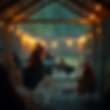 Coop illuminated with warm LED lights