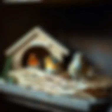 Notable Implementing Nesting Boxes for Optimal Pet Care