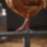 Close-up view of a metal poultry leg band on a bird
