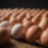 Fresh eggs from a local farm