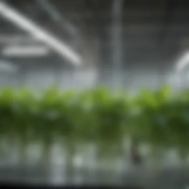 Nutrient-Rich Water Circulation Close-up of nutrient-rich water circulating in a hydroponic system, illustrating the essential components.