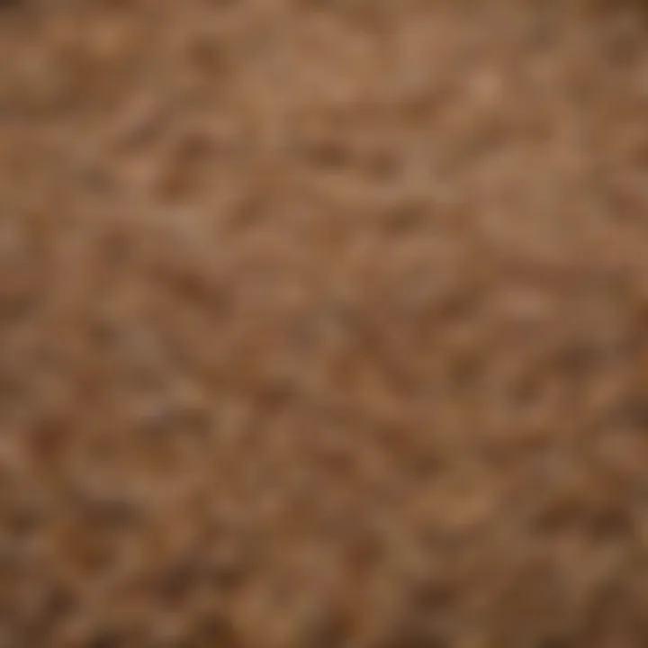 A vibrant array of grains and seeds suitable for duck diets