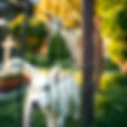 Durable nylon fence netting installed around a backyard