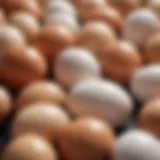 Colorful array of chicken eggs showcasing various shell colors.