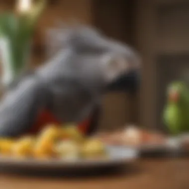 A well-balanced plate of food showcasing safe options for African Grey parrots