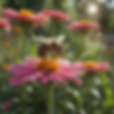 Vibrant Flora Supporting Bee Populations Vibrant flowers attracting bees in a sunny garden